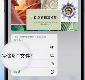 昔阳apple维修中心分享iPhone文件应用中存储和找到下载文件