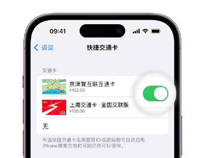 昔阳apple维修点分享iPhone上更换Apple Pay快捷交通卡手绘卡面 