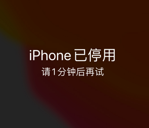 昔阳苹果手机维修分享:iPhone 显示“不可用”或“已停用”怎么办？还能保留数据吗？ 