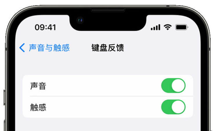 昔阳苹果手机维修分享iPhone 14触感键盘使用方法 