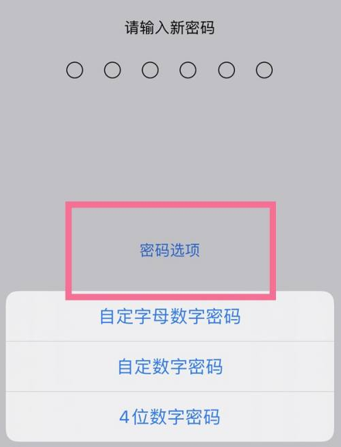 昔阳苹果14维修分享iPhone 14plus设置密码的方法 